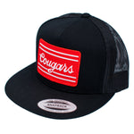 Cougars Snapback Hat