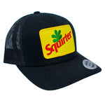 Squirter Curved Snapback Hat